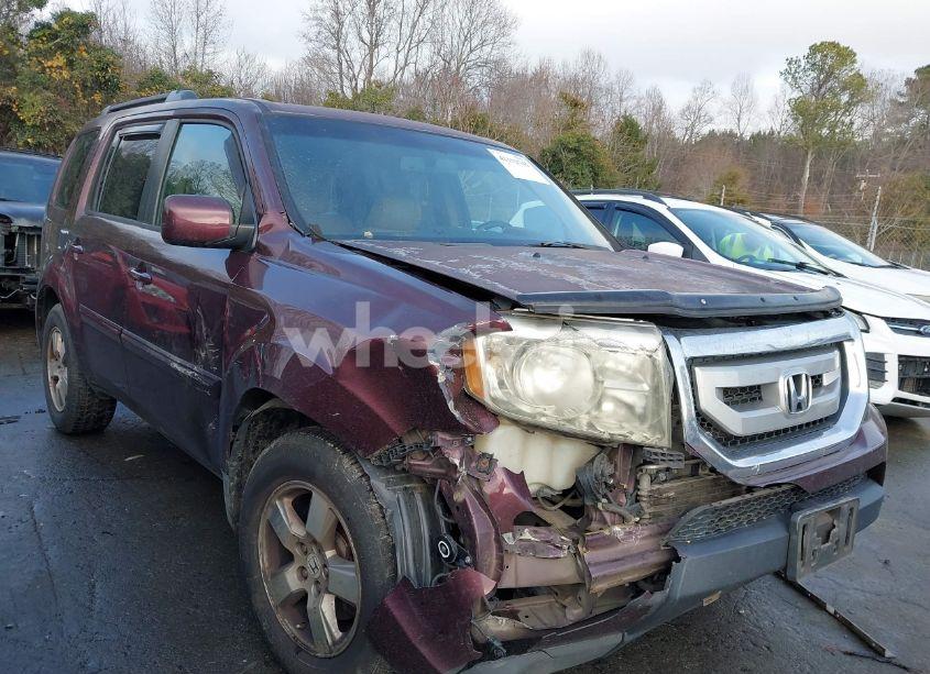 2011 Honda Pilot EX-L (VIN 5FNYF4H51BB008718) main photo