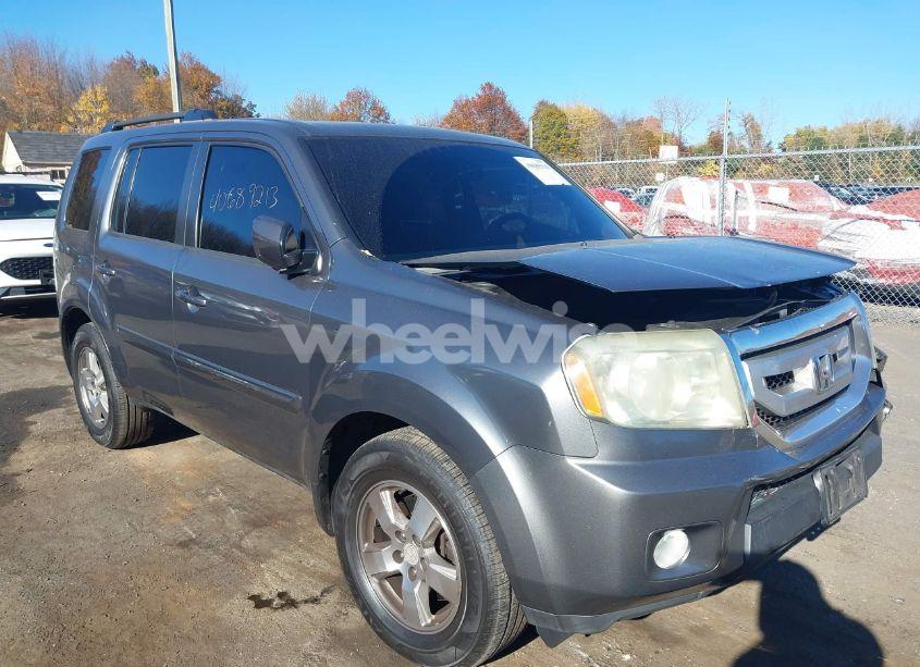 2011 Honda Pilot EX-L (VIN 5FNYF4H51BB009416) main photo