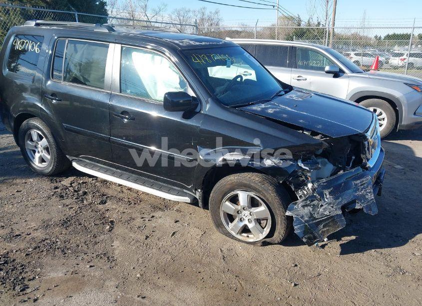 2011 Honda Pilot EX-L (VIN 5FNYF4H51BB023347) main photo