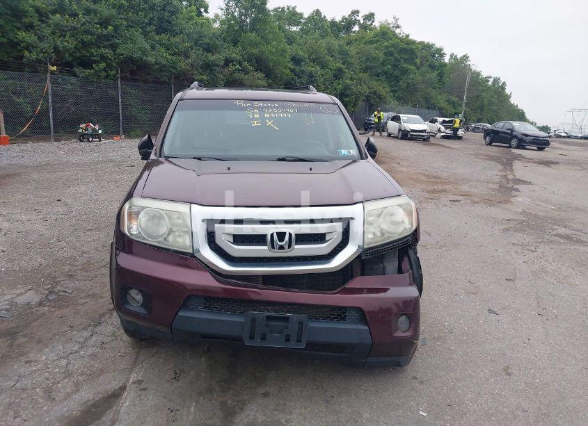 Photo 12 of 2011 Honda Pilot EX-L (VIN 5FNYF4H51BB071494)