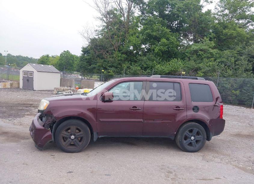 Photo 14 of 2011 Honda Pilot EX-L (VIN 5FNYF4H51BB071494)