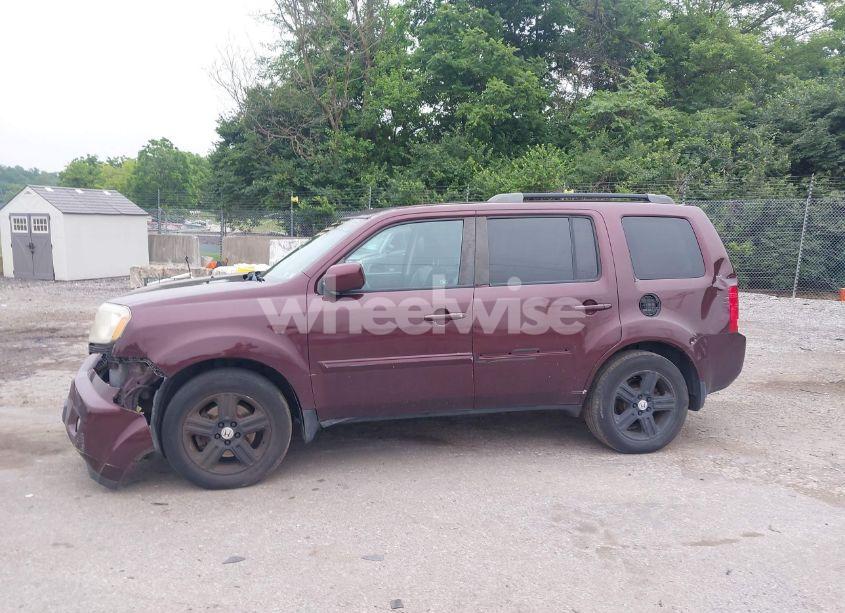 Photo 17 of 2011 Honda Pilot EX-L (VIN 5FNYF4H51BB071494)