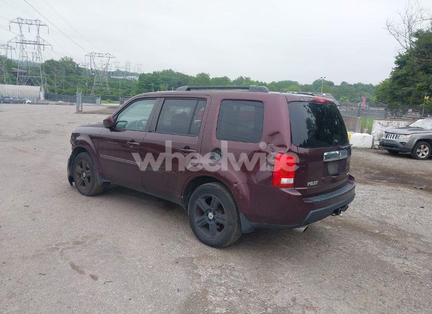 Photo 3 of 2011 Honda Pilot EX-L (VIN 5FNYF4H51BB071494)