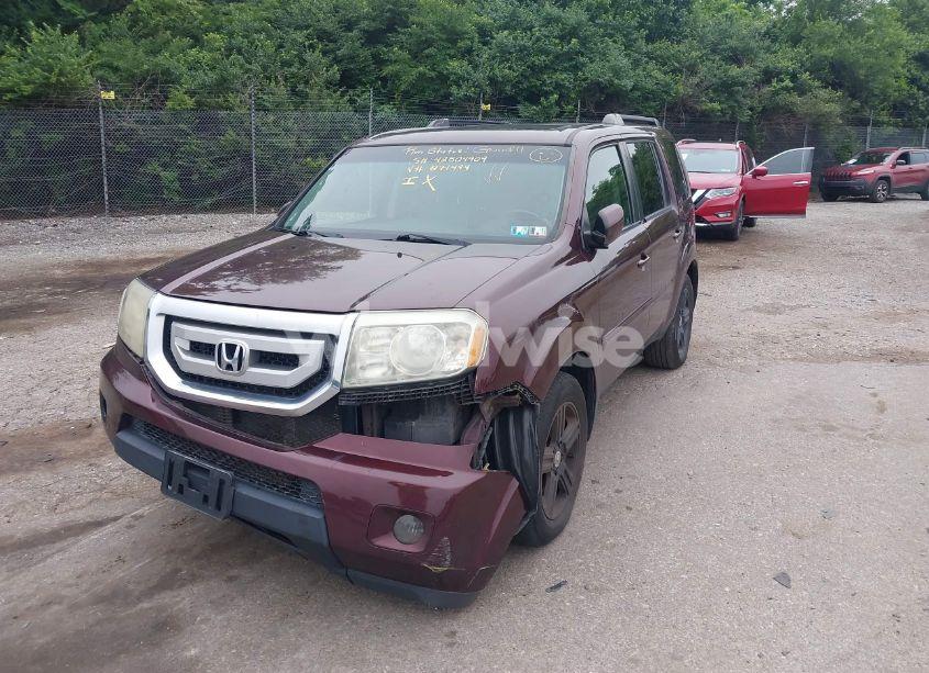 Photo 6 of 2011 Honda Pilot EX-L (VIN 5FNYF4H51BB071494)