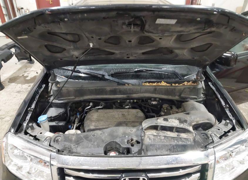 Photo 10 of 2013 Honda Pilot EX-L (VIN 5FNYF4H51DB011525)