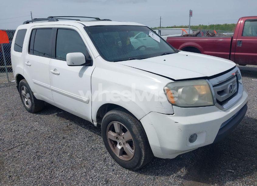 2010 Honda Pilot EX-L (VIN 5FNYF4H52AB040849) main photo