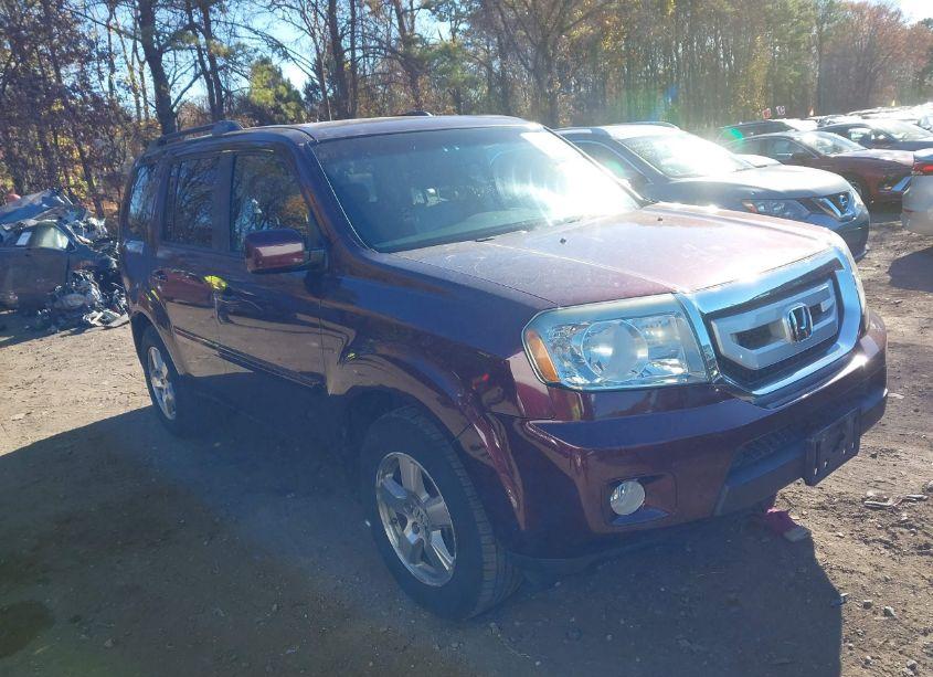 2011 Honda Pilot EX-L (VIN 5FNYF4H52BB011420) main photo