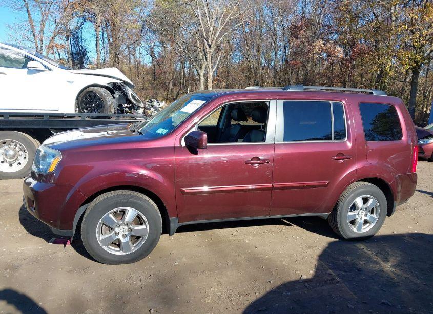 Photo 14 of 2011 Honda Pilot EX-L (VIN 5FNYF4H52BB011420)