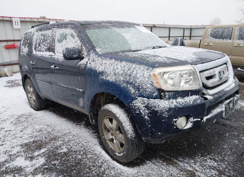 2011 Honda Pilot EX-L (VIN 5FNYF4H52BB034681) main photo