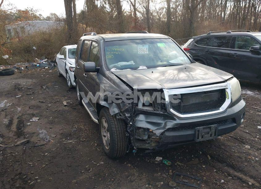 2010 Honda Pilot EX-L (VIN 5FNYF4H53AB035529) main photo