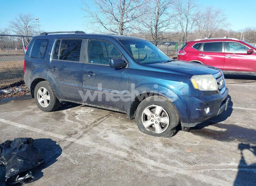 2011 Honda Pilot EX-L (VIN 5FNYF4H53BB034978) main photo
