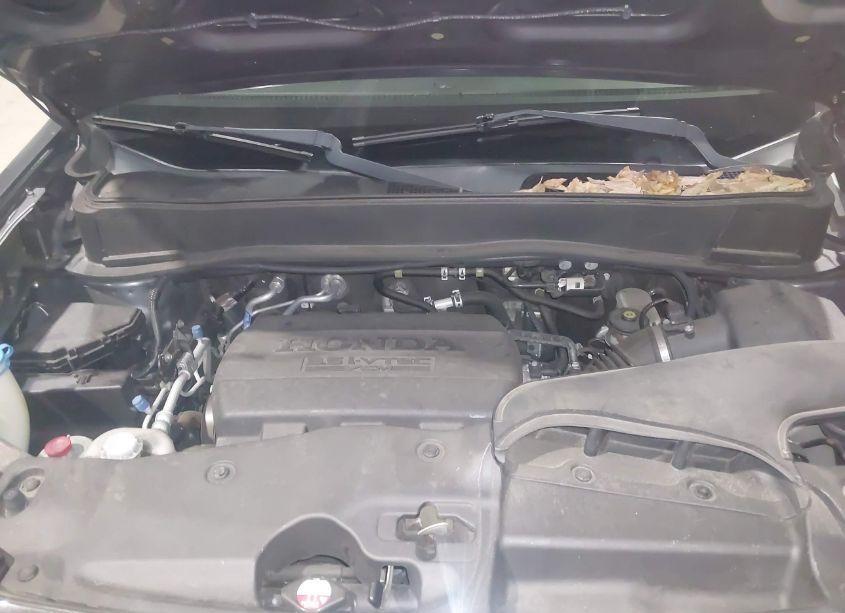 Photo 10 of 2013 Honda Pilot EX-L (VIN 5FNYF4H53DB051377)