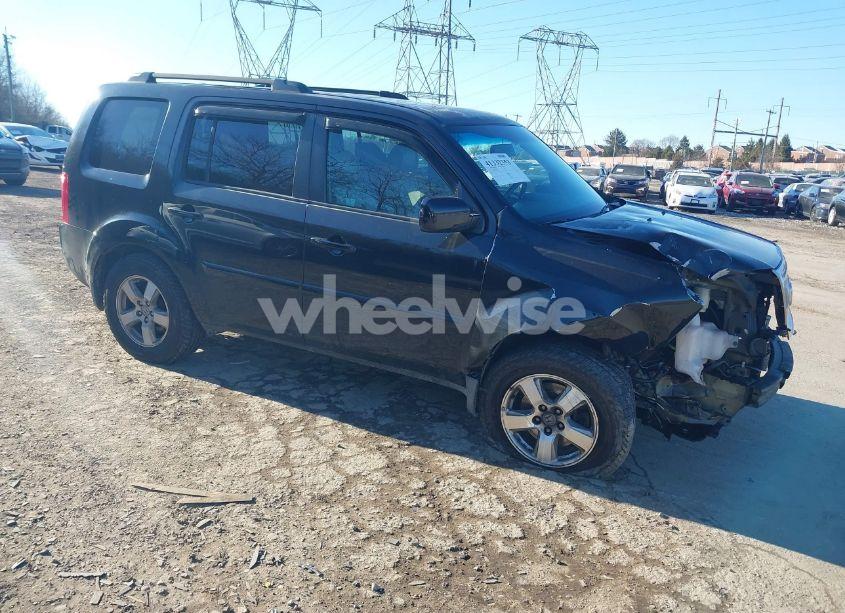 2010 Honda Pilot EX-L (VIN 5FNYF4H54AB013359) main photo