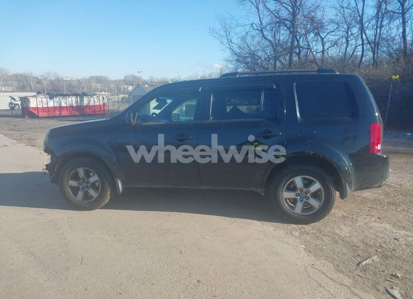 Photo 15 of 2010 Honda Pilot EX-L (VIN 5FNYF4H54AB013359)
