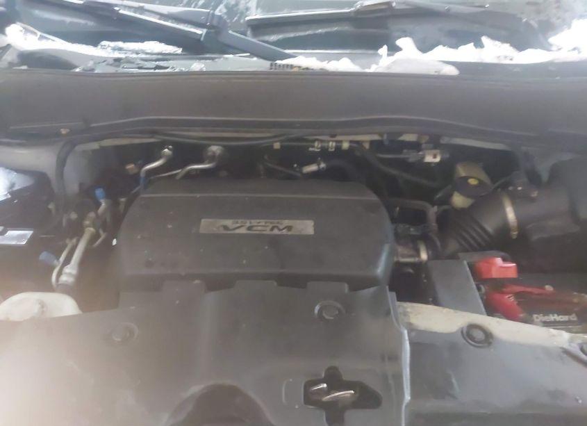 Photo 10 of 2010 Honda Pilot EX-L (VIN 5FNYF4H54AB026788)