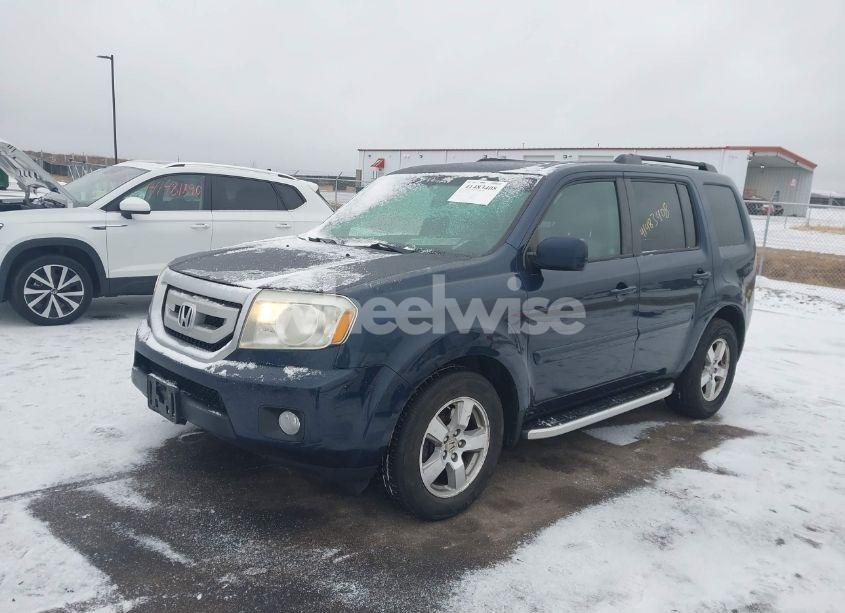 Photo 2 of 2011 Honda Pilot EX-L (VIN 5FNYF4H54BB058934)