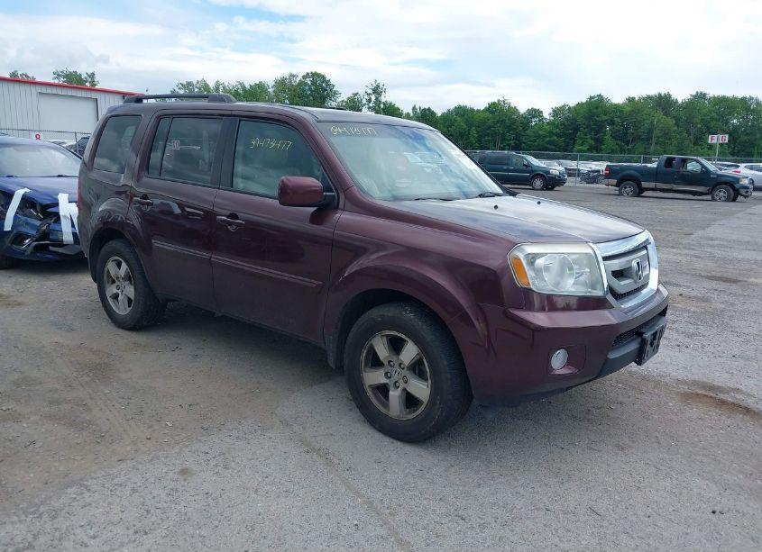 2011 Honda Pilot EX-L (VIN 5FNYF4H55BB084233) main photo