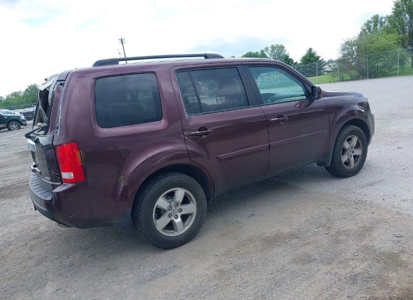 Photo 4 of 2011 Honda Pilot EX-L (VIN 5FNYF4H55BB084233)