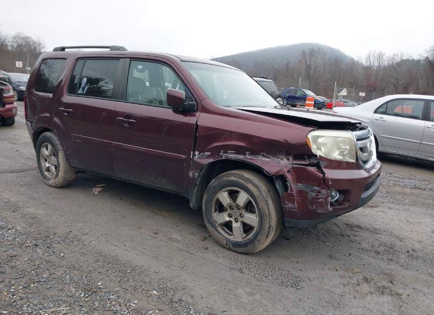 2011 Honda Pilot EX-L (VIN 5FNYF4H55BB087780) main photo