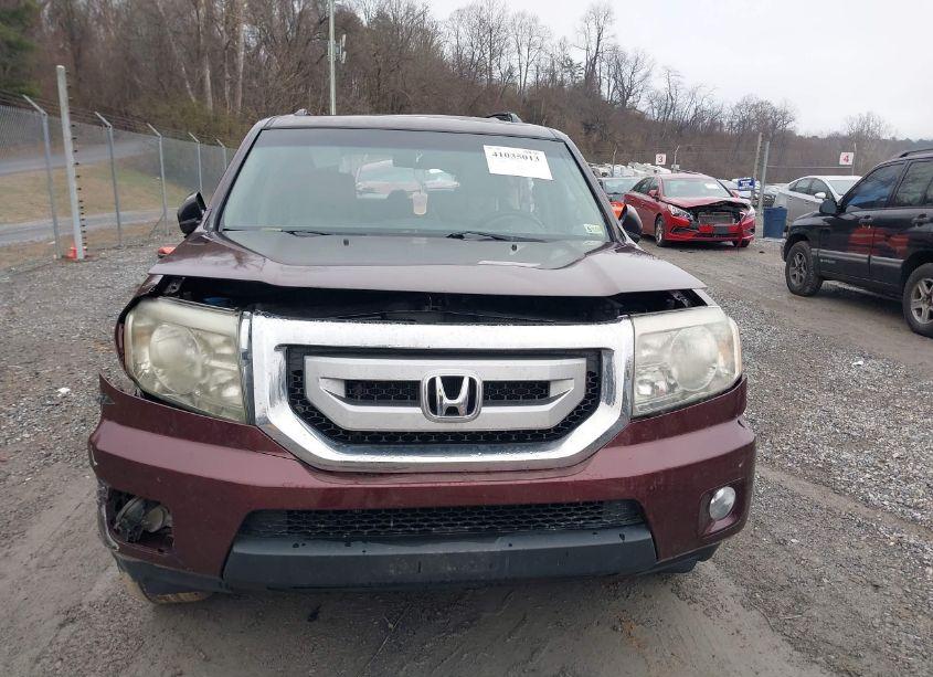 Photo 12 of 2011 Honda Pilot EX-L (VIN 5FNYF4H55BB087780)