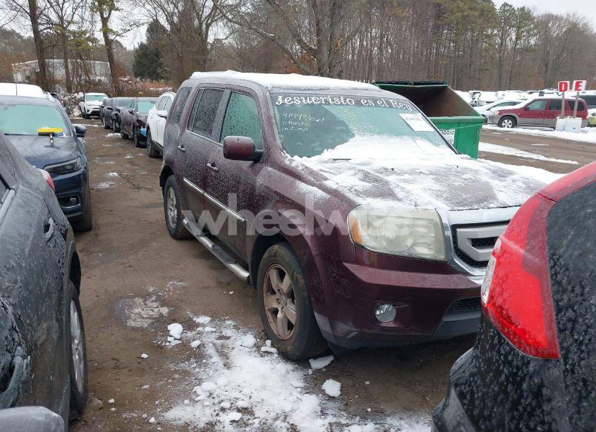 2011 Honda Pilot EX-L (VIN 5FNYF4H56BB024171) main photo