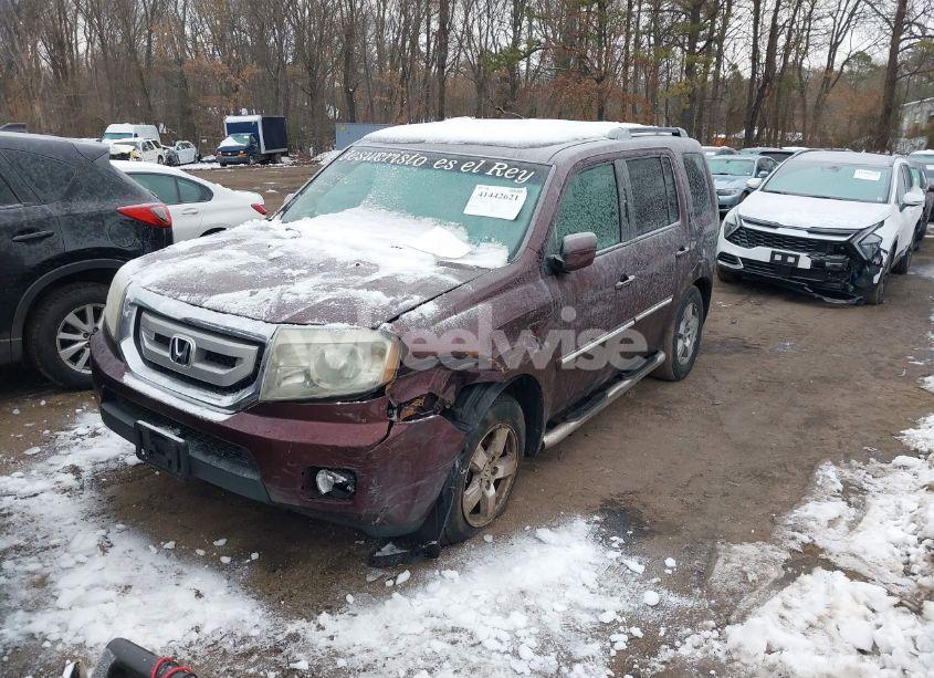 Photo 2 of 2011 Honda Pilot EX-L (VIN 5FNYF4H56BB024171)