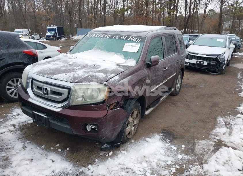 Photo 6 of 2011 Honda Pilot EX-L (VIN 5FNYF4H56BB024171)