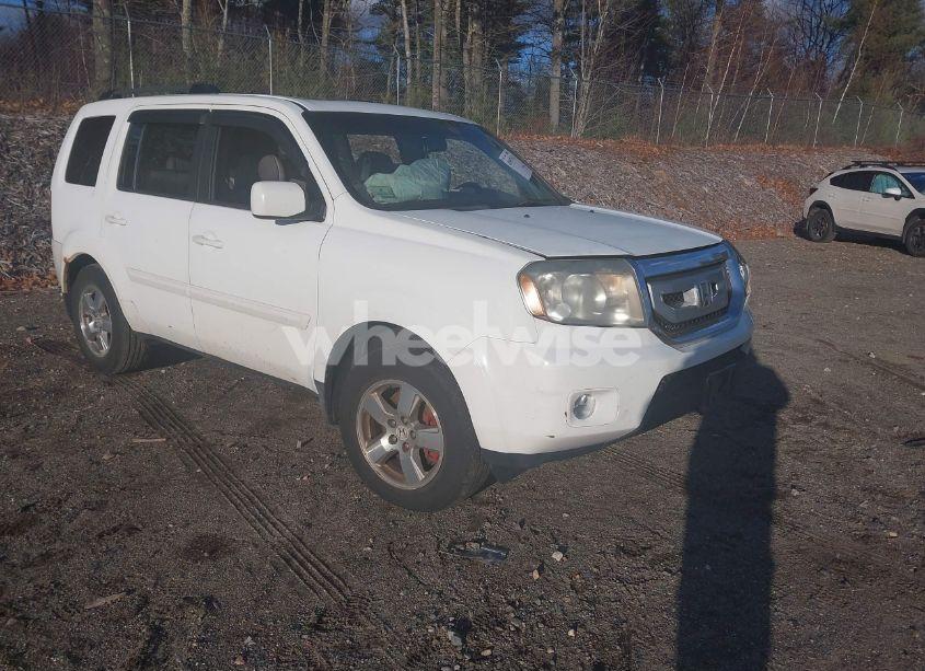 2011 Honda Pilot EX-L (VIN 5FNYF4H56BB031797) main photo