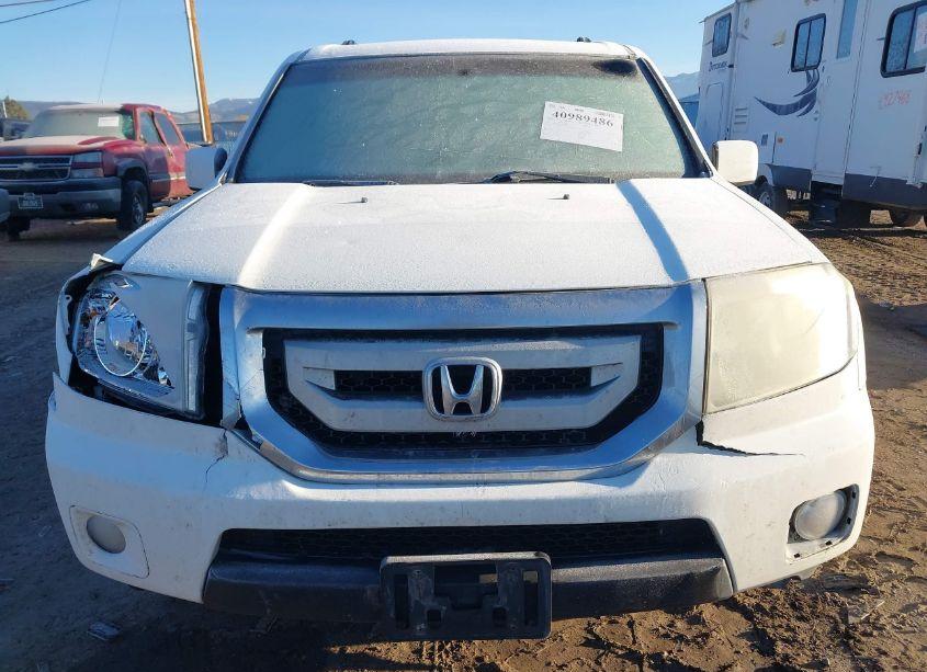 Photo 12 of 2011 Honda Pilot EX-L (VIN 5FNYF4H56BB049832)