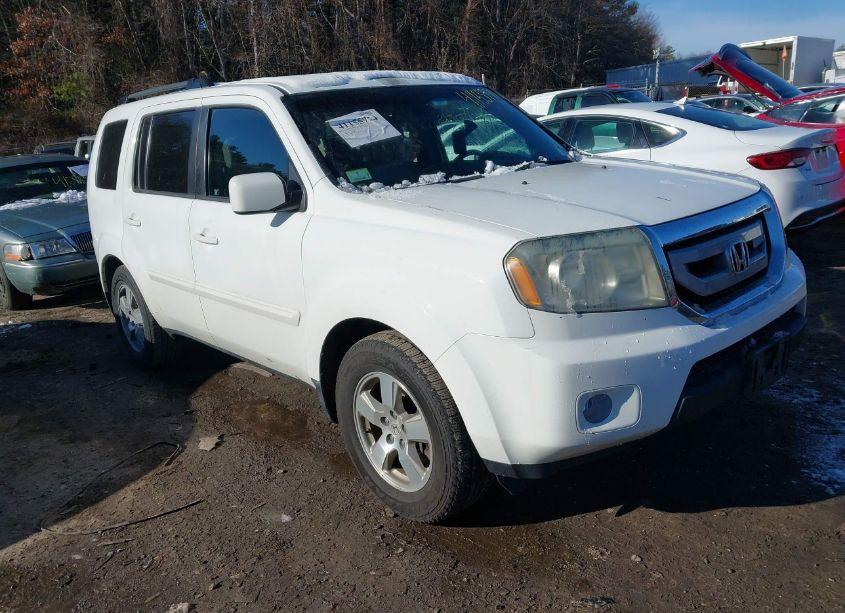 2011 Honda Pilot EX-L (VIN 5FNYF4H56BB080305) main photo
