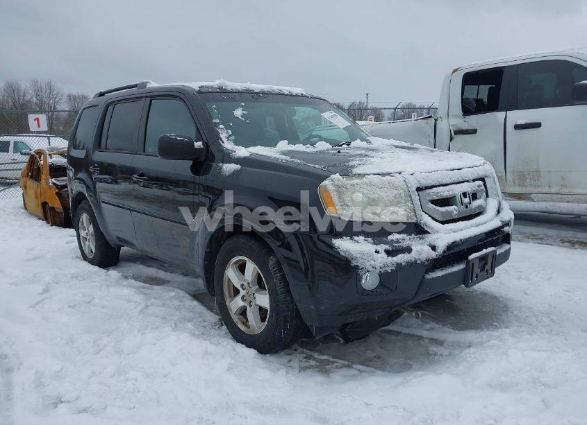 2011 Honda Pilot EX-L (VIN 5FNYF4H56BB083088) main photo