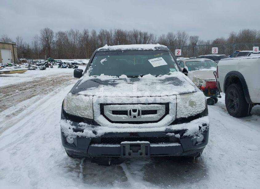 Photo 12 of 2011 Honda Pilot EX-L (VIN 5FNYF4H56BB083088)