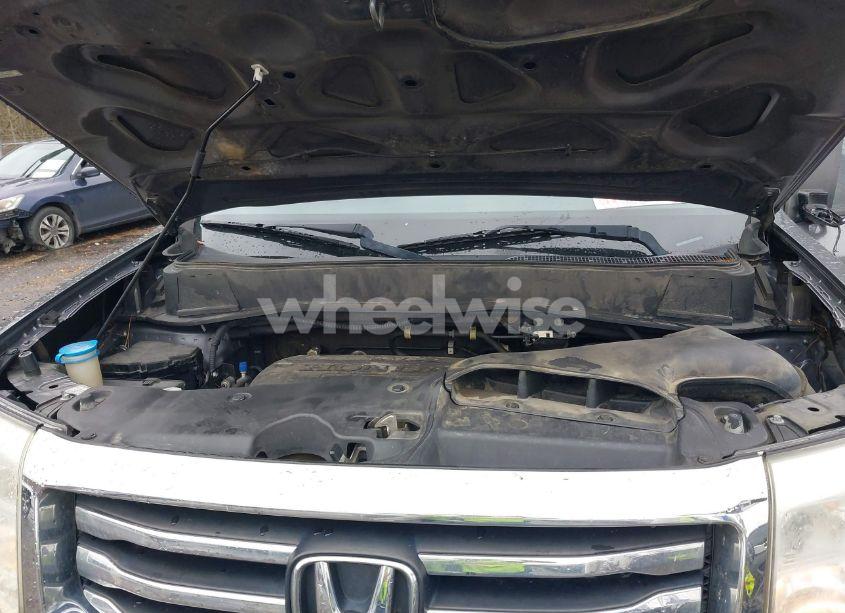 Photo 10 of 2014 Honda Pilot EX-L (VIN 5FNYF4H56EB040925)