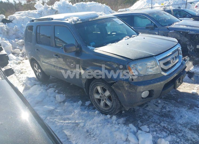 2011 Honda Pilot EX-L (VIN 5FNYF4H57BB043554) main photo