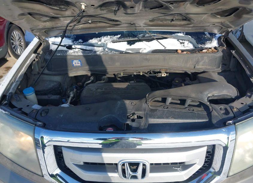 Photo 10 of 2011 Honda Pilot EX-L (VIN 5FNYF4H57BB050990)