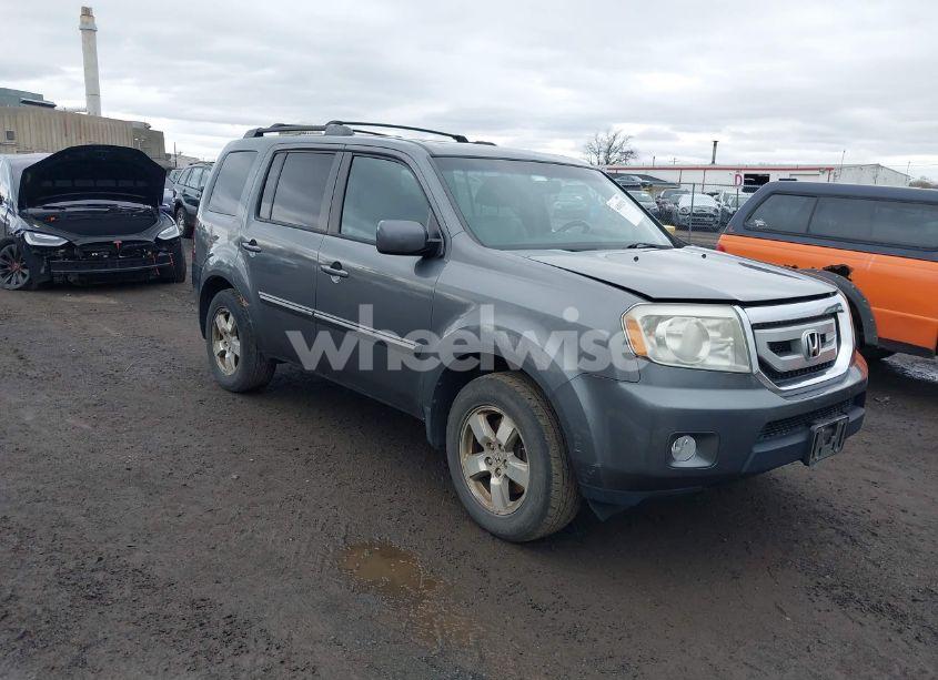 2011 Honda Pilot EX-L (VIN 5FNYF4H57BB087621) main photo