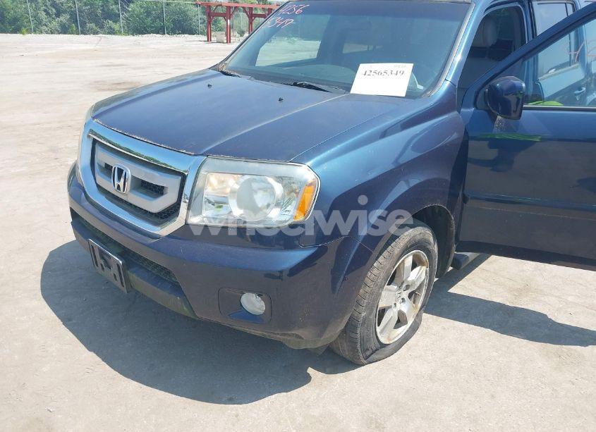 Photo 6 of 2011 Honda Pilot EX-L (VIN 5FNYF4H58BB074120)