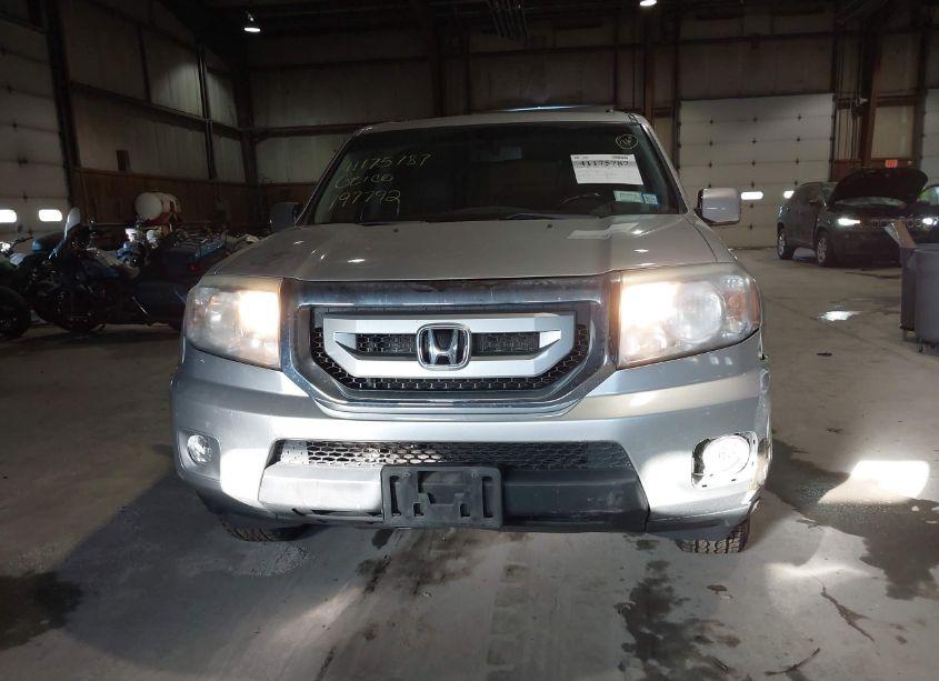 Photo 20 of 2010 Honda Pilot EX-L (VIN 5FNYF4H59AB035664)