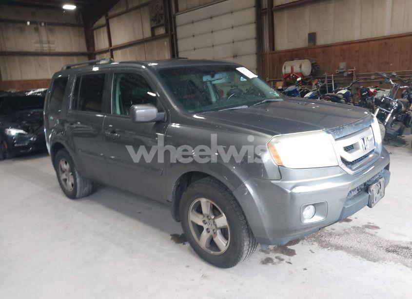 2011 Honda Pilot EX-L (VIN 5FNYF4H59BB038341) main photo