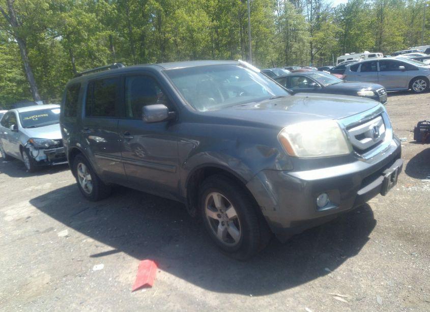 2011 Honda Pilot EX-L (VIN 5FNYF4H59BB053048) main photo