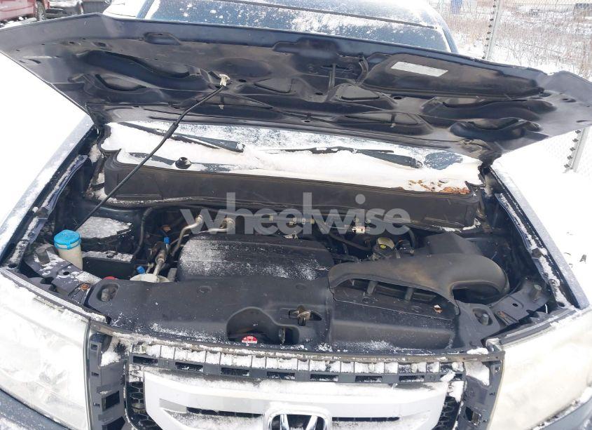 Photo 10 of 2011 Honda Pilot EX-L (VIN 5FNYF4H59BB105374)