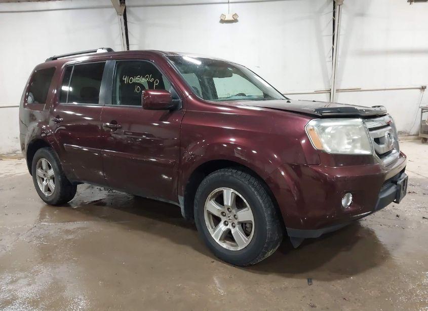 2010 Honda Pilot EXL (VIN 5FNYF4H60AB037098) main photo