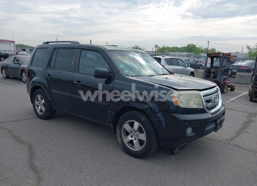 2011 Honda Pilot EX-L (VIN 5FNYF4H61BB078003) main photo