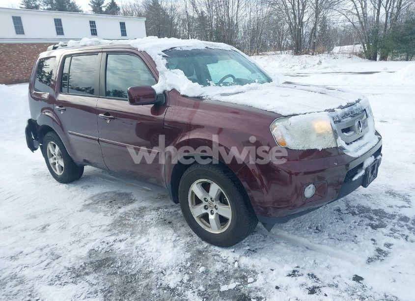 2011 Honda Pilot EX-L (VIN 5FNYF4H64BB080005) main photo