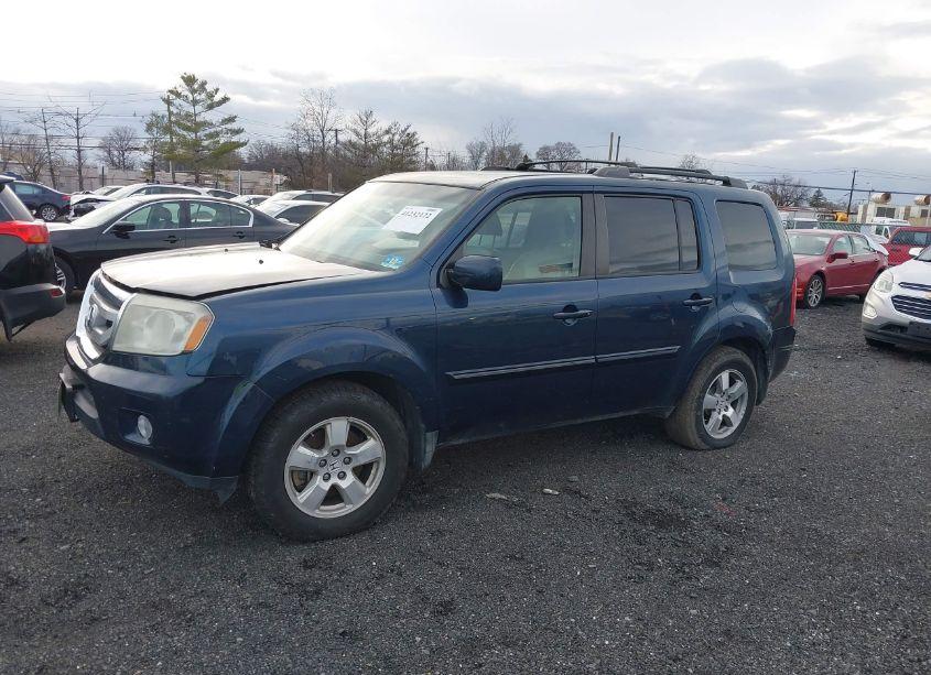 Photo 14 of 2010 Honda Pilot EX-L (VIN 5FNYF4H65AB002475)