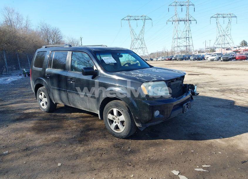 2010 Honda Pilot EX-L (VIN 5FNYF4H65AB030843) main photo