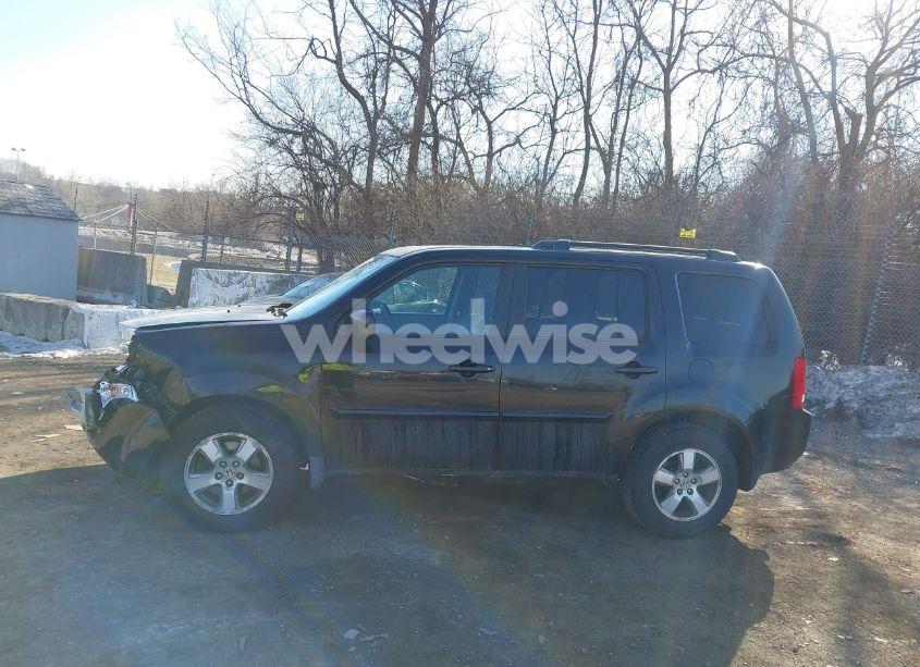 Photo 14 of 2010 Honda Pilot EX-L (VIN 5FNYF4H65AB030843)