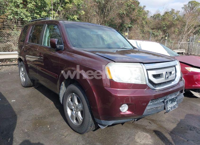 2011 Honda Pilot EX-L (VIN 5FNYF4H68BB089550) main photo