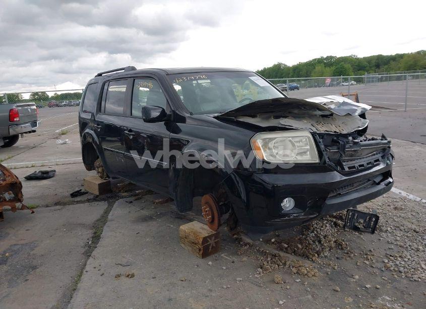 2011 Honda Pilot EX-L (VIN 5FNYF4H69BB041653) main photo