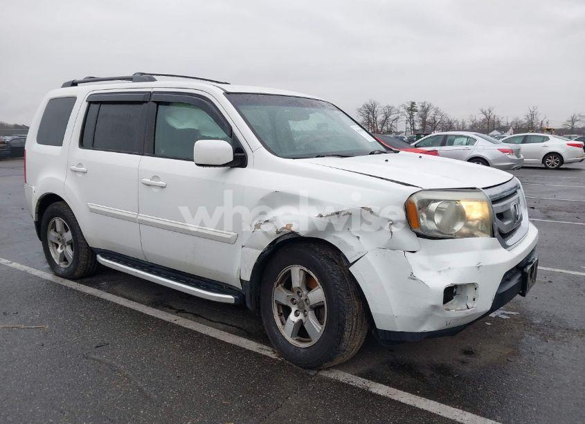 Photo 6 of 2011 Honda Pilot EX-L (VIN 5FNYF4H71BB084862)